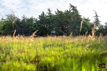 Land for sale in Rooks County, Kansas