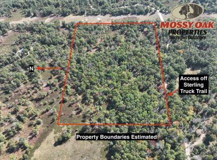 Undeveloped Land for sale in Arenac County, Michigan