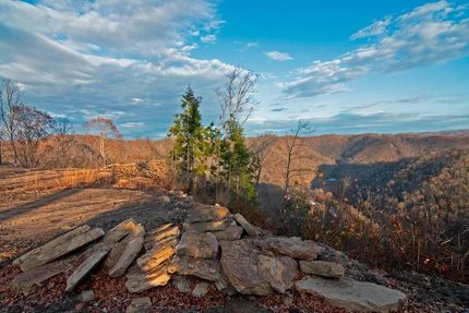 Timberland Property for sale in Wyoming County, West Virginia