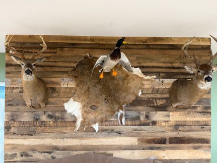 Recreational Property for sale in Johnson County, Illinois