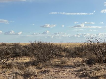 Undeveloped Land for sale in Luna County, New Mexico