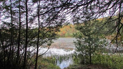 Riverfront Property for sale in Sullivan County, New York