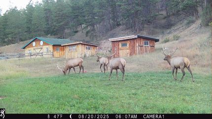 Land for sale in Fall River County, South Dakota