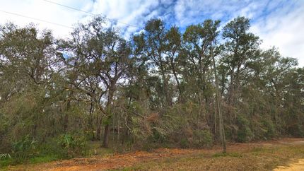Land for sale in Putnam County, Florida