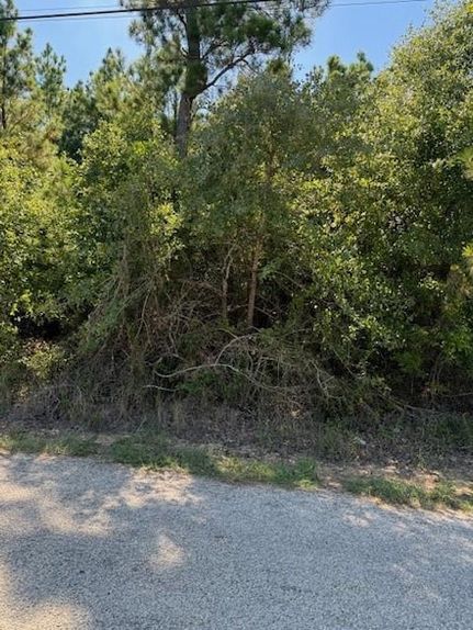 Undeveloped Land for sale in Bastrop County, Texas