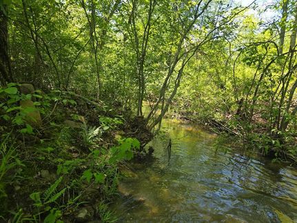 Undeveloped Land for sale in Pushmataha County, Oklahoma