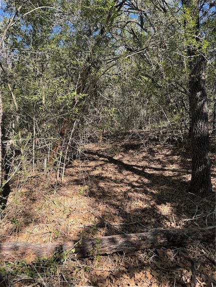 Land for sale in Bastrop County, Texas