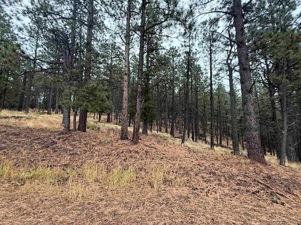 Farm and Ranch for sale in Colfax County, New Mexico