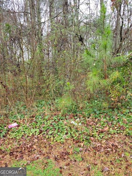 Timberland Property for sale in Gwinnett County, Georgia