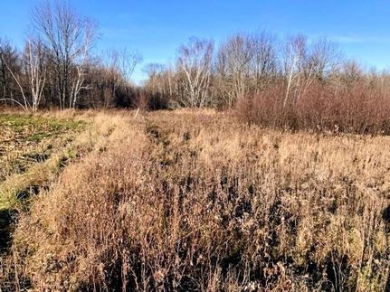 Timberland Property for sale in Rusk County, Wisconsin