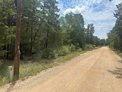 Undeveloped Land for sale in Bastrop County, Texas