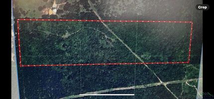Land for sale in Harrison County, Texas