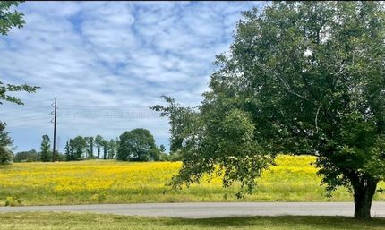 Undeveloped Land for sale in Walker County, Alabama
