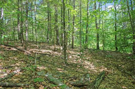 Timberland Property for sale in Carroll County, New Hampshire