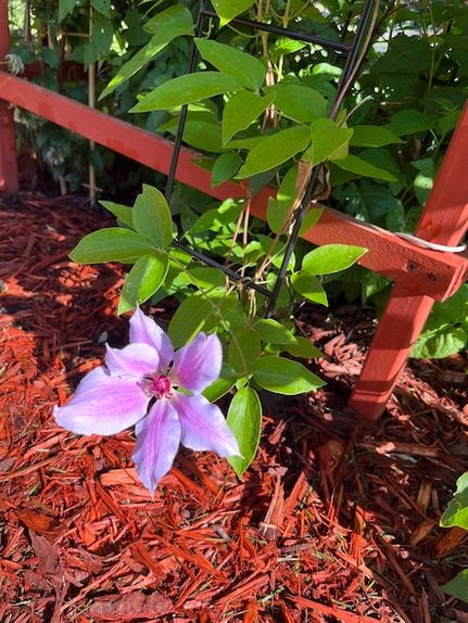 Recreational Property for sale in Koochiching County, Minnesota