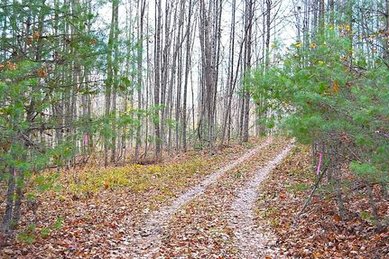 Undeveloped Land for sale in Summers County, West Virginia