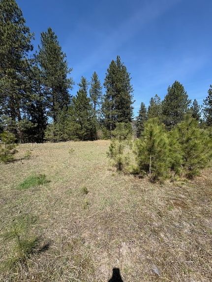 Farm and Ranch for sale in Mineral County, Montana