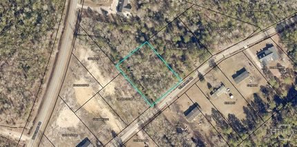 Undeveloped Land for sale in Effingham County, Georgia