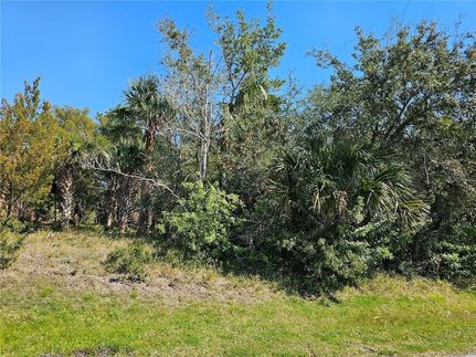 Farm and Ranch for sale in Flagler County, Florida