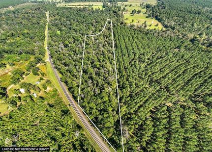 Undeveloped Land for sale in Newton County, Texas