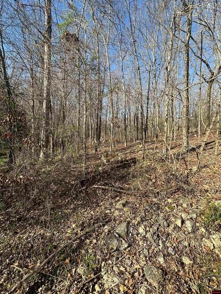 Homesite for sale in Sharp County, Arkansas
