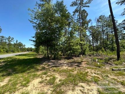 Undeveloped Land for sale in Santa Rosa County, Florida