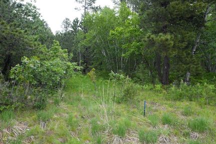 Timberland Property for sale in Lawrence County, South Dakota