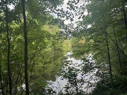 Timberland Property for sale in Sauk County, Wisconsin