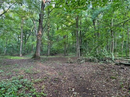 Undeveloped Land for sale in Ottawa County, Ohio