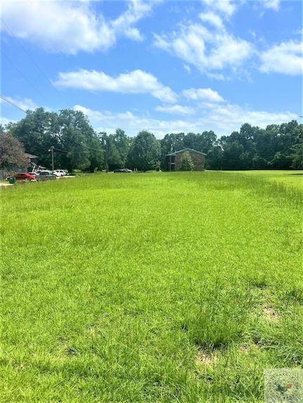 Undeveloped Land for sale in Bowie County, Texas