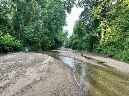 Farm and Ranch in Copiah County, Mississippi