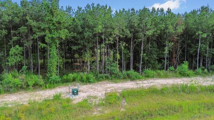 Undeveloped Land for sale in Liberty County, Texas