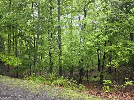 Undeveloped Land for sale in Gilmer County, Georgia