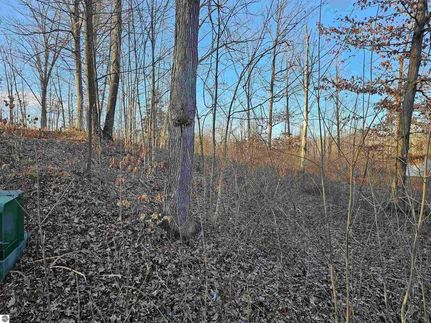 Undeveloped Land for sale in Ogemaw County, Michigan