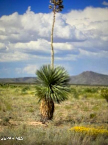 Timberland Property for sale in Hudspeth County, Texas