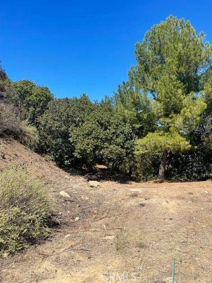 Undeveloped Land for sale in Los Angeles County, California