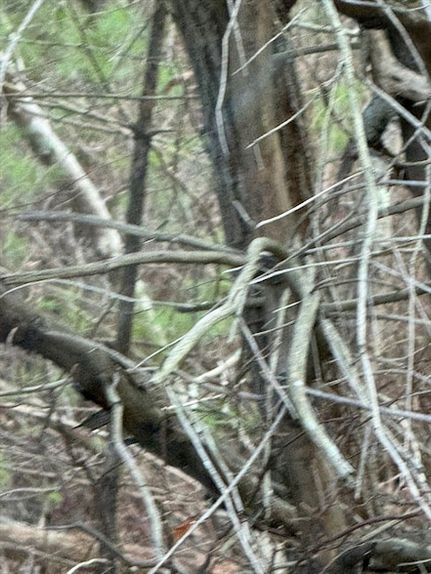 Homesite for sale in Plymouth County, Massachusetts