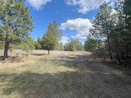 Undeveloped Land for sale in Pend Oreille County, Washington