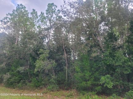 Timberland Property for sale in Hernando County, Florida
