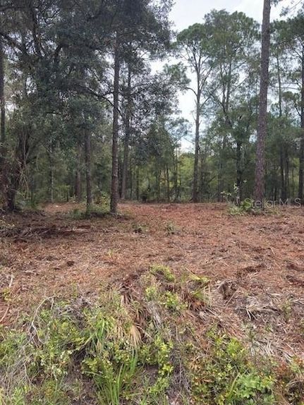 Undeveloped Land for sale in Citrus County, Florida