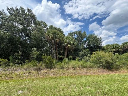 Undeveloped Land for sale in Okeechobee County, Florida