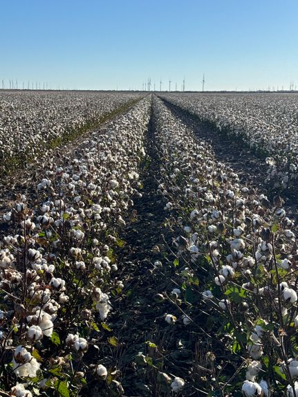 Land for sale in Haskell County, Texas