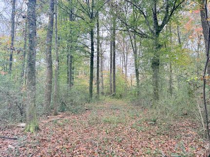 Recreational Property for sale in Pike County, Mississippi