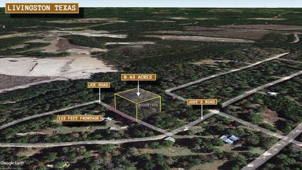 Undeveloped Land for sale in Polk County, Texas
