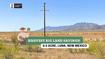 Undeveloped Land for sale in Luna County, New Mexico