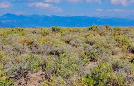 Undeveloped Land for sale in Alamosa County, Colorado