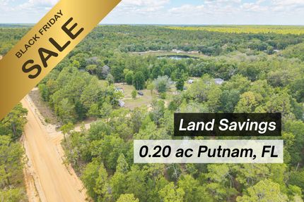 Undeveloped Land for sale in Putnam County, Florida