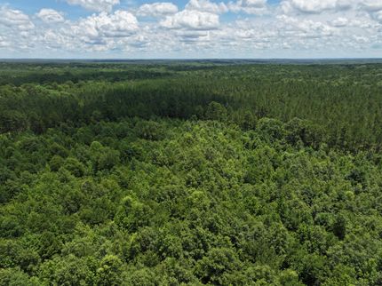 Land for sale in Harrison County, Texas