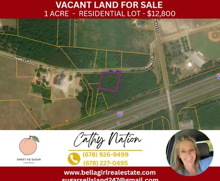 Undeveloped Land for sale in Clarendon County, South Carolina