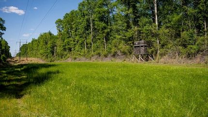 Land for sale in Pike County, Mississippi